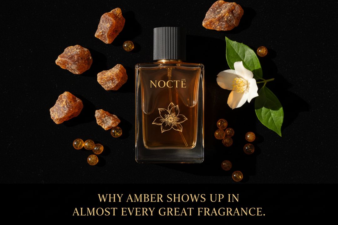 Why Amber Shows Up in Almost Every Great Fragrance